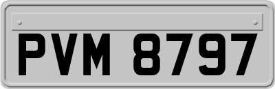 PVM8797