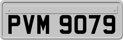 PVM9079