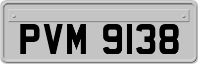 PVM9138