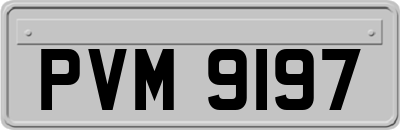 PVM9197