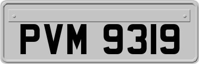 PVM9319