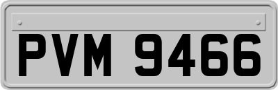 PVM9466