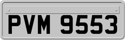 PVM9553
