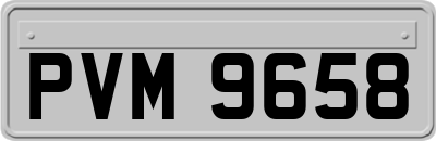PVM9658