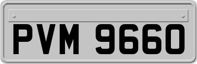 PVM9660