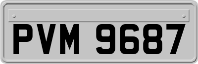 PVM9687