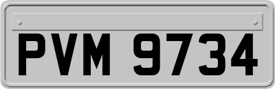 PVM9734