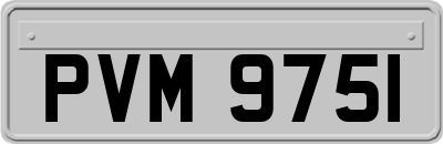 PVM9751