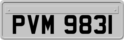 PVM9831