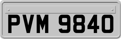 PVM9840