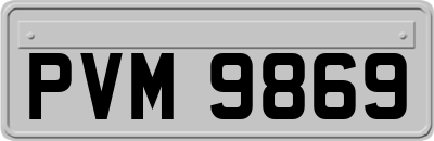 PVM9869