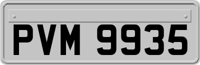PVM9935