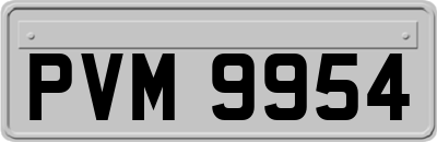 PVM9954