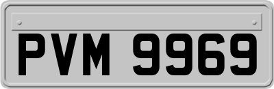 PVM9969