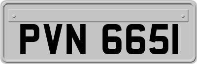 PVN6651