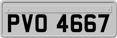 PVO4667
