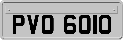 PVO6010