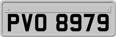 PVO8979