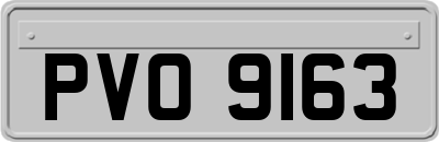 PVO9163