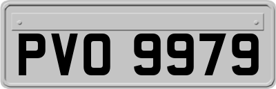 PVO9979