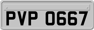 PVP0667