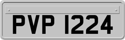 PVP1224