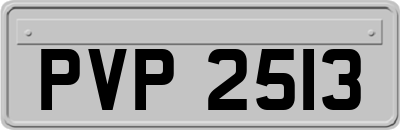 PVP2513