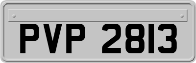 PVP2813