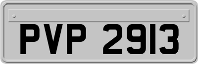 PVP2913