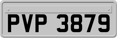 PVP3879