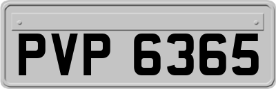 PVP6365