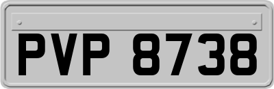 PVP8738