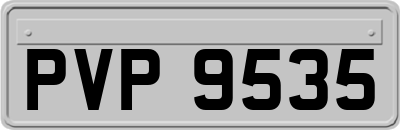 PVP9535