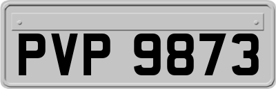 PVP9873