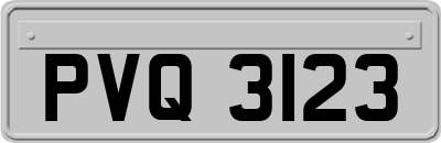 PVQ3123