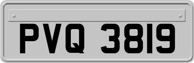 PVQ3819
