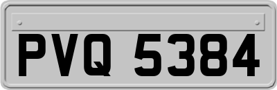 PVQ5384