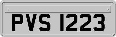 PVS1223