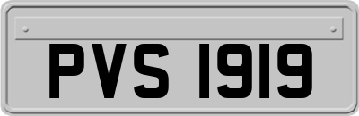 PVS1919