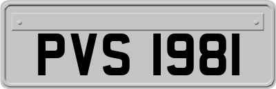 PVS1981