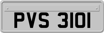 PVS3101