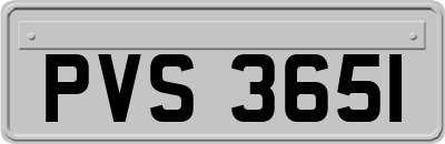PVS3651
