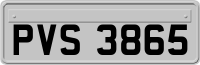 PVS3865