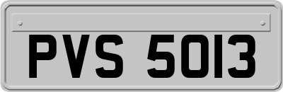 PVS5013