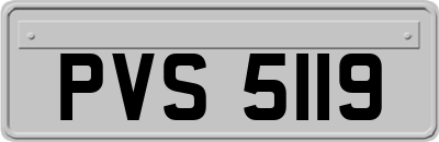 PVS5119