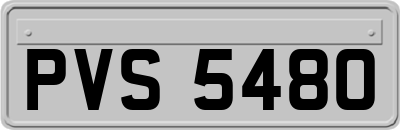 PVS5480