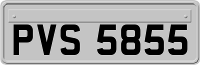 PVS5855