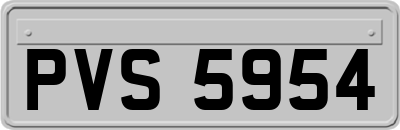PVS5954