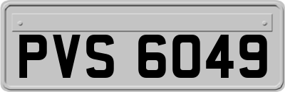 PVS6049