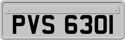 PVS6301